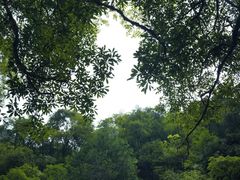 -西岭雪山大飞水景区
