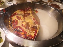 双人鸳鸯锅-大龙燚火锅