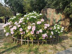 -洛阳市隋唐城遗址植物园