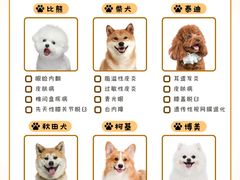 -美联众合动物医院·24h转诊中心