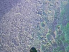 -世界之窗阿尔卑斯冰雪世界