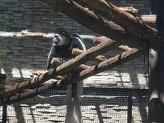 -石家庄市动物园