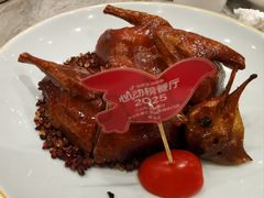 大红袍乳鸽王-朱记乳鸽王·非遗石岐乳鸽·全鸽宴(大兴旗舰店)