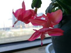 -瓦库茶馆17号(海汇港店)