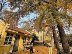 -Rabbit Cafe私房西餐甜点咖啡(栖霞路店)