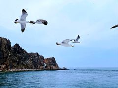 -海驴岛(荣成市)