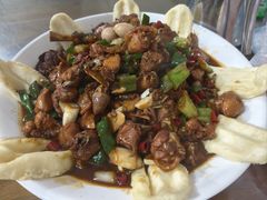 特色小公鸡-向民炒鸡老店(火车站店)