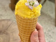 -野草莓自由市场