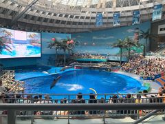 -海合安成都极地海洋公园