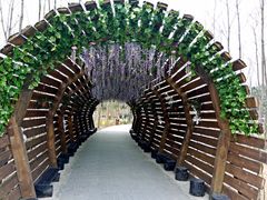 -合肥滨湖国家森林公园