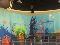 -海合安青岛极地海洋公园