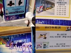 -郑州银基冰雪世界