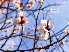 -居庸关长城