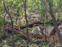 -大岭沟猕猴桃谷风景区