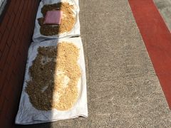 -沙湾姜撞奶甜品店(昌岗中路店)