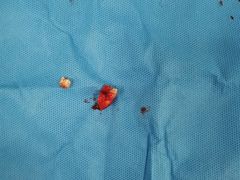 -西安交通大学口腔医院(主院区)