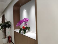 -丰联丽格医疗美容·联合丽格眼整形中心