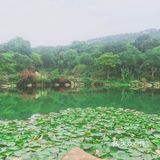 周末放假肯定要去逛公园呀