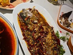 -杨氏青龙虾·羊蝎子(金盛路总店)
