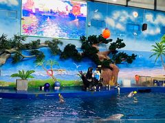 -辛玛王国游乐园