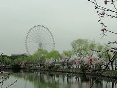 -无锡蠡湖国家湿地公园-蠡园