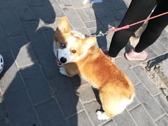 -星巴克(北京三里屯SOHO一店)
