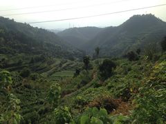 -杨家堂村