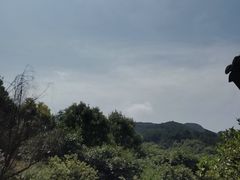 -柏联酒店