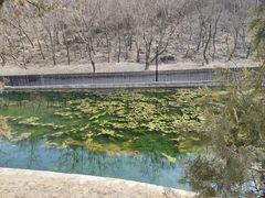 -白水寺森林公园