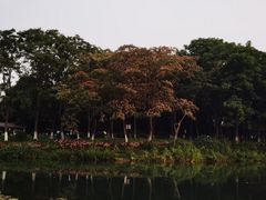 -金银湖国家城市湿地公园