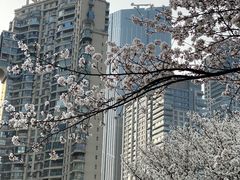 -西北湖绿化广场