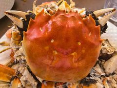 -蟹天蟹地农家菜·阳澄湖大闸蟹(浅水湾店)