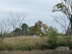 -良渚古城遗址公园