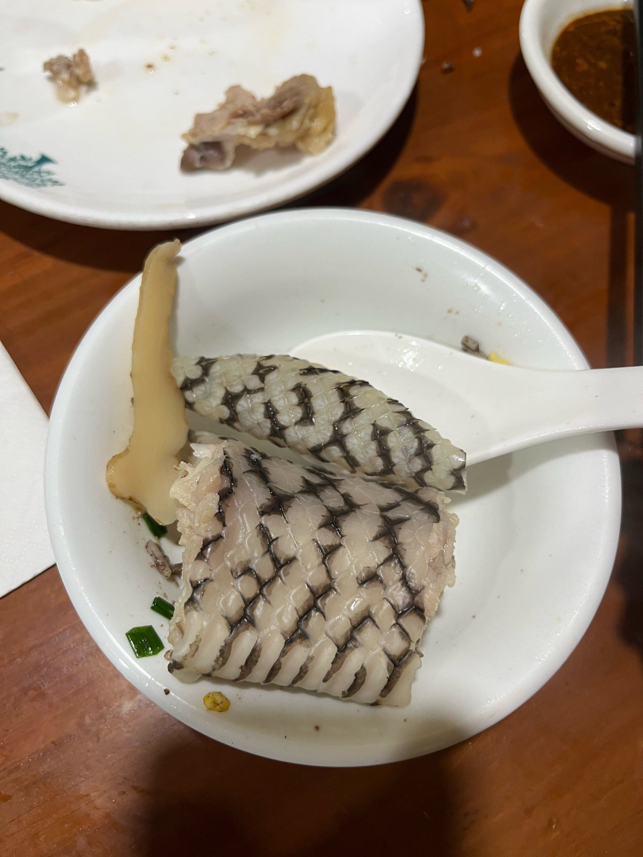 不一样的蛇汤体验