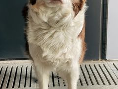 -COFFEE HOLIC(朝外SOHO店)