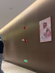 -深圳米兰柏羽医疗美容医院