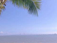 -港珠澳大桥(珠海段)