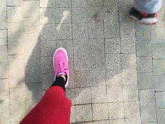 -昆山城市生态森林公园