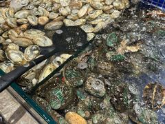 -丰卓会海鲜自助(中润大道店)