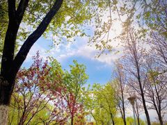 -滨河世纪广场公园