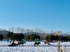 -北极村旅游风景区