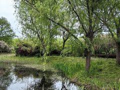 -同里国家湿地公园