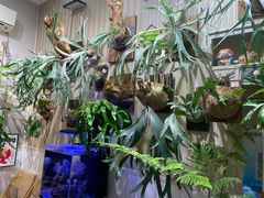 -Rabbit Cafe私房西餐甜点咖啡(栖霞路店)