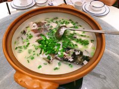 千岛湖鱼头-姜君·千岛湖鱼头馆(浦东大道店)