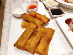 -金蝉食府(维吉奥广场店)