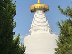 -凉州白塔寺景区