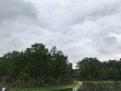 -桤木河湿地公园