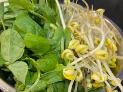 -傣妹火锅(南京东路一店)