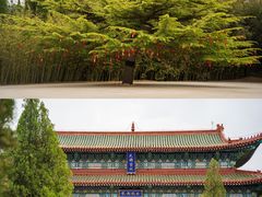 -龙口南山旅游景区