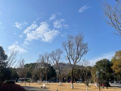 -上海月湖雕塑公园